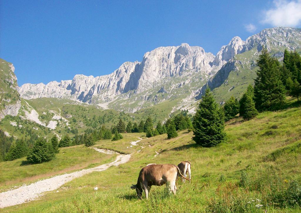 Eurohotel Mountain Wellness Castione della Presolana Eksteriør bilde